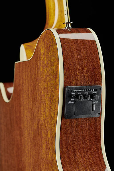 GUITARRA ELECTROACUSTICA IBAÑEZ TCY10E -SFH AGUAMARINA, imagen 3