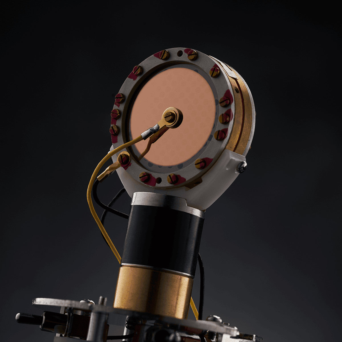 Micrófono Warm Audio WA-87 R2 Nickel, detalle 2