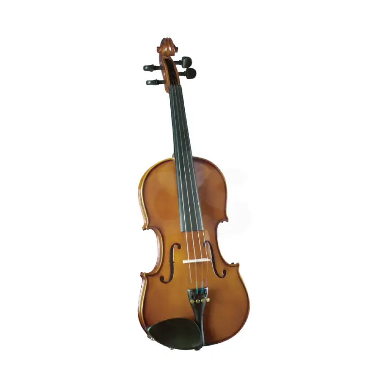 Violin Cremona SV100 4/4