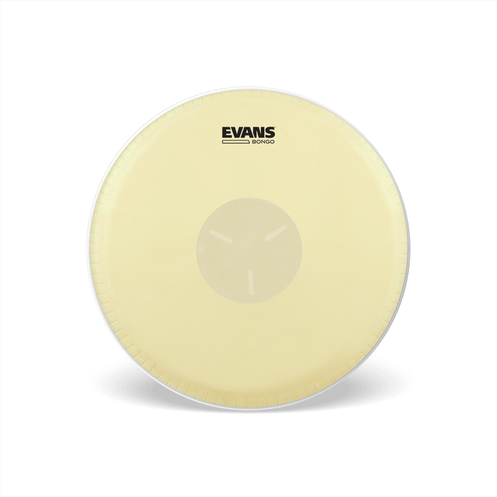Evans PARCHE BONGO EB-077