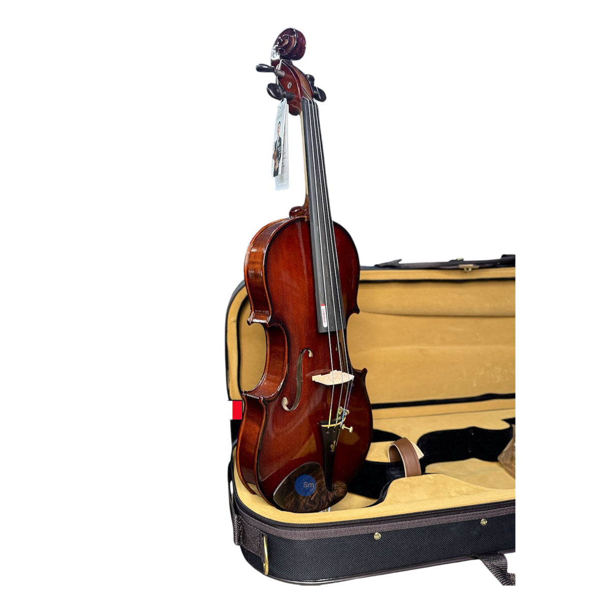 Violin Christina V05