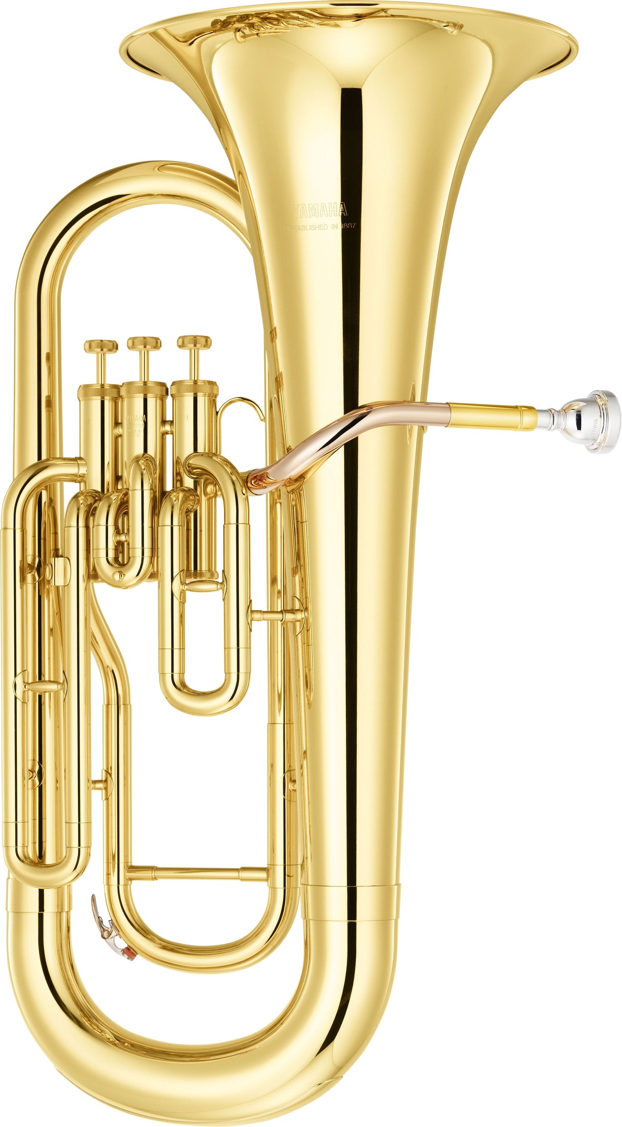 Eufonio Yamaha YEP-201 dorado en Si bemol sobre fondo blanco