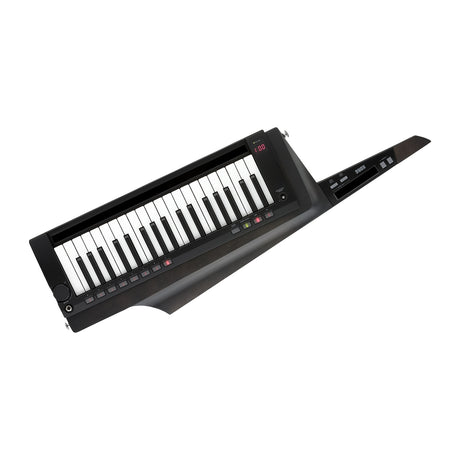 Sintetizador Korg RK 100S 2BK vista oficial completa sobre fondo blanco
