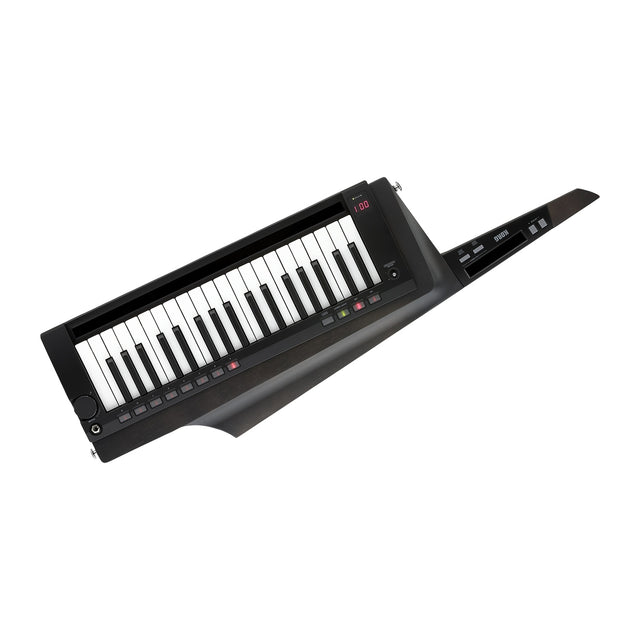 Sintetizador Korg RK 100S 2BK vista oficial completa sobre fondo blanco