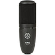 Micrófono AKG P120