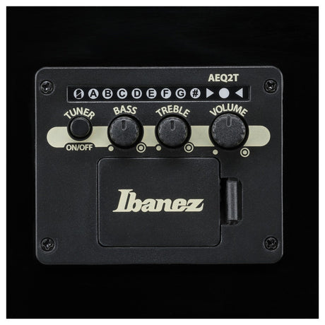 Guitarra Ibáñez ALT50FA TVT