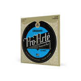 Encordado D’Addario EJ46C, vista principal