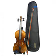 Violín Greko VB301M 3/4