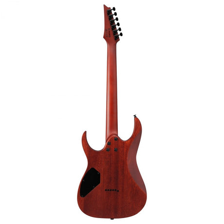 GUITARRA ELECTRICA IBAÑEZ GRG121PARKBF, imagen adicional 2