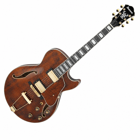 Ibanez AG95MG-DA, vista principal