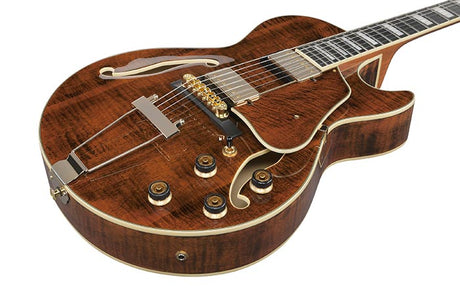 Ibanez AG95MG-DA, imagen oficial adicional 1