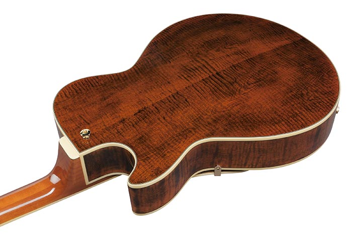 Ibanez AG95MG-DA, imagen oficial adicional 2