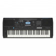 Yamaha PSR-E473 + PA150