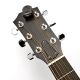 Accesorio D’Addario PW-CT-12, imagen oficial adicional 3