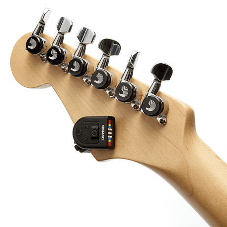 Accesorio D’Addario PW-CT-12, imagen oficial adicional 4
