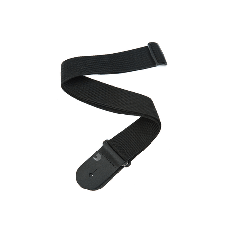 Correa D’Addario PWS100 negra, vista principal