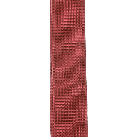 Correa D’Addario PWS101 roja, detalle oficial 1