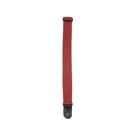 Correa D’Addario PWS101 roja, detalle oficial 2