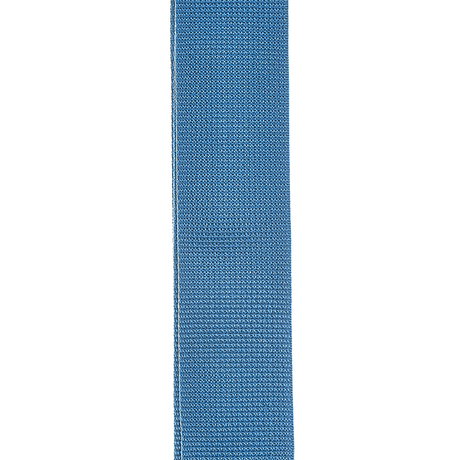 Correa D’Addario PWS102 azul, detalle oficial 1