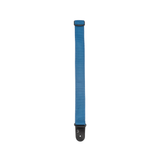Correa D’Addario PWS102 azul, detalle oficial 2