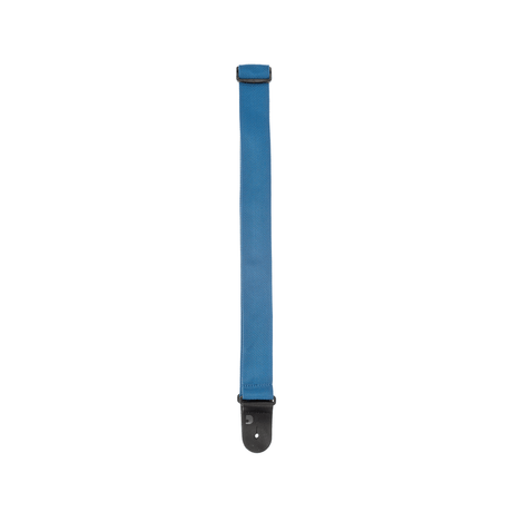 Correa D’Addario PWS102 azul, detalle oficial 2