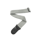 Correa D’Addario PWS105 plateada, vista principal