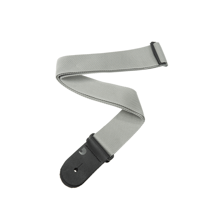 Correa D’Addario PWS105 plateada, vista principal