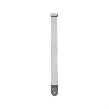 Correa D’Addario PWS105 plateada, detalle oficial 2