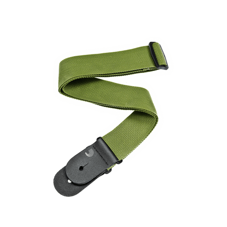 Correa D’Addario PWS107 verde, vista principal