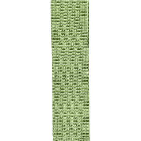 Correa D’Addario PWS107 verde, detalle oficial 1