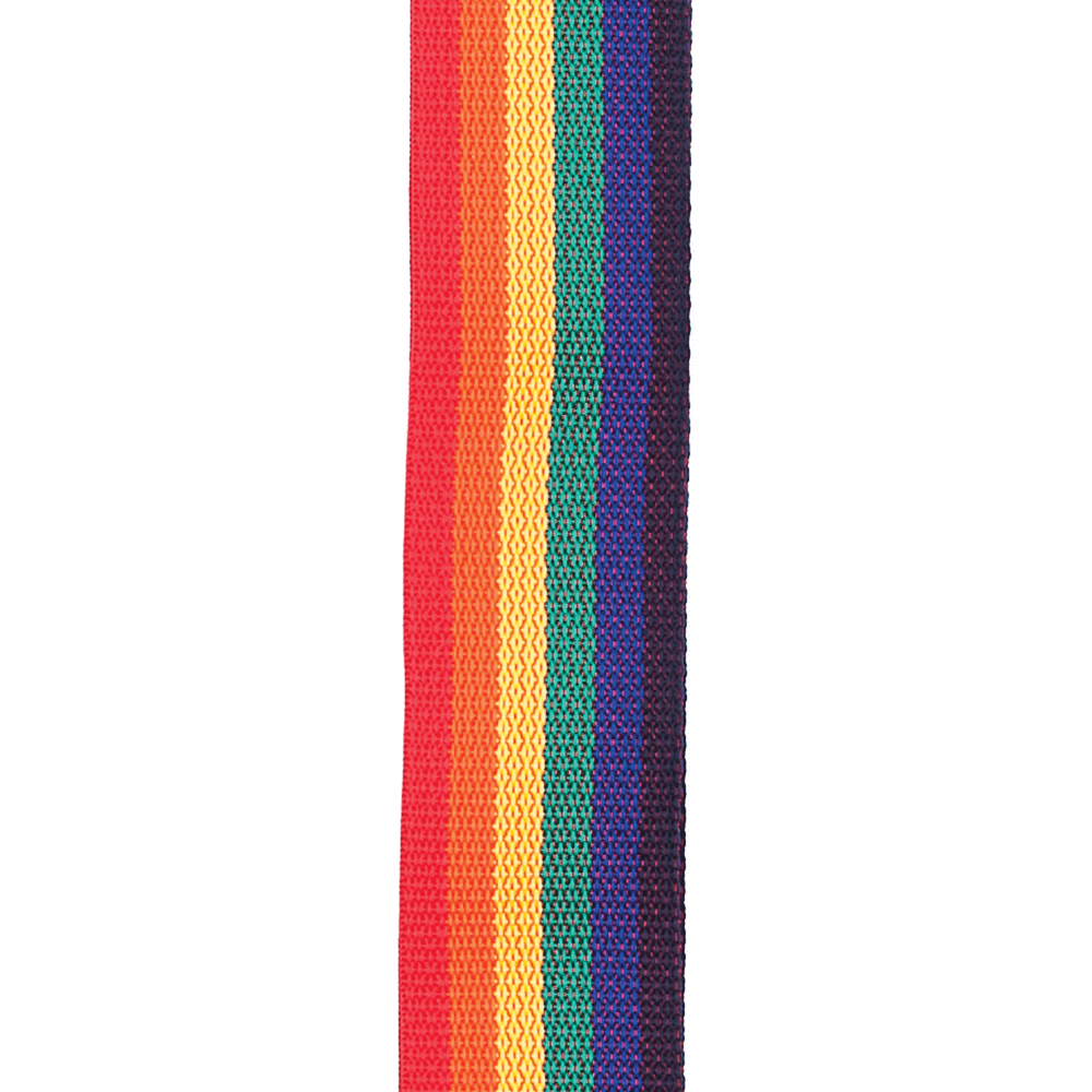 Correa D’Addario PWS111 arcoíris, detalle oficial 1