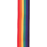 Correa D’Addario PWS111 arcoíris, detalle oficial 1
