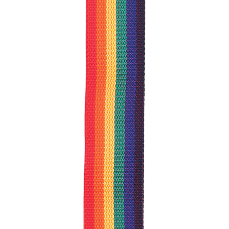 Correa D’Addario PWS111 arcoíris, detalle oficial 1