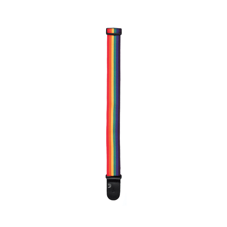Correa D’Addario PWS111 arcoíris, detalle oficial 2