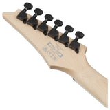 GUITARRA ELECTRICA IBANEZ RG421DX TWS