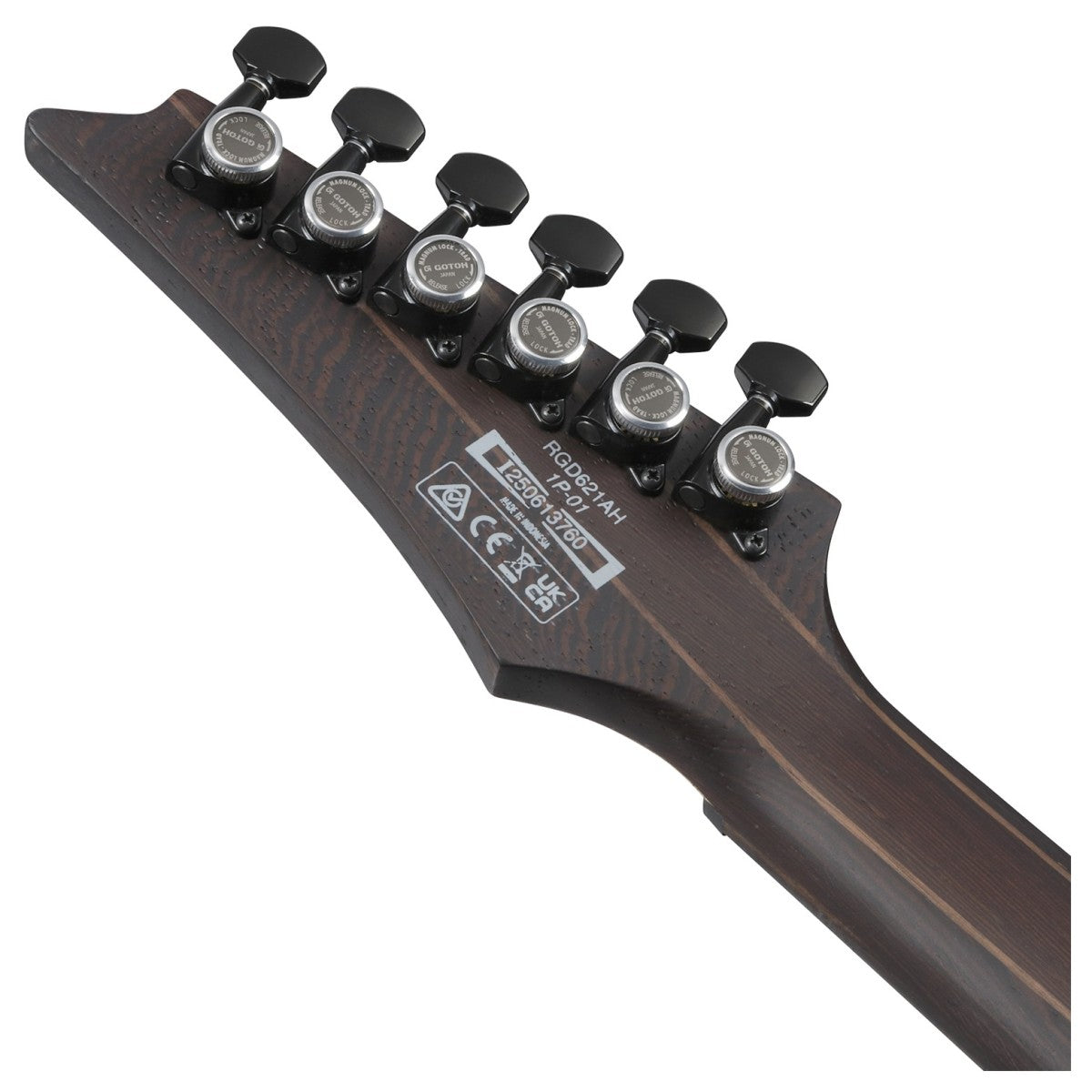 Guitarra eléctrica Ibáñez RGD621AH MNF