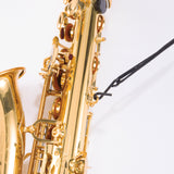 Correa D’Addario SJA11, imagen oficial adicional 3
