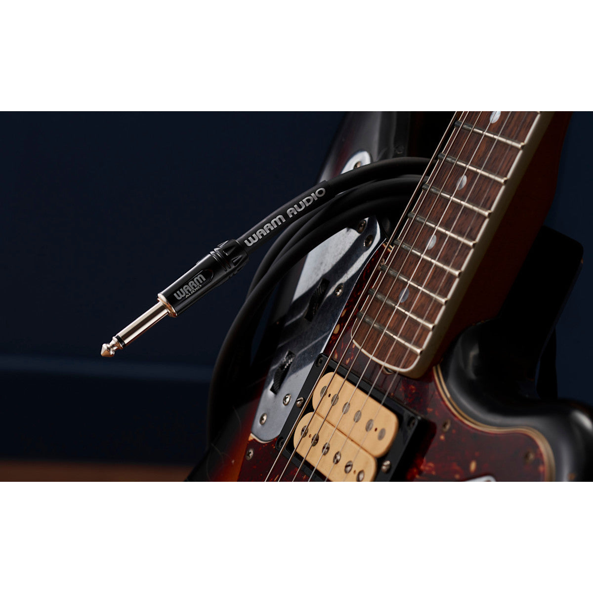 Cable Warm Audio Pro-TS-10', vista en uso