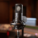 Warm Audio WA-8000 con fuente y accesorios