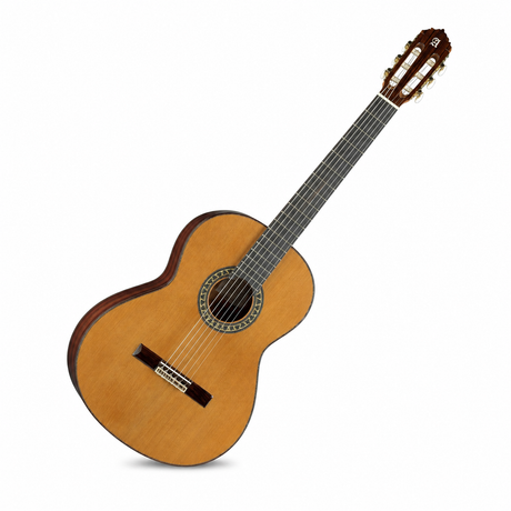 Guitarra Alhambra 5 P – vista diagonal frontal completa