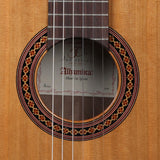 Guitarra Alhambra Iberia Ziricote – detalle de la pala y clavijas
