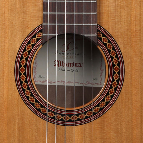 Guitarra Alhambra Iberia Ziricote – detalle de la pala y clavijas