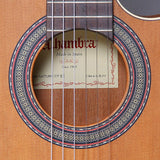Guitarra Alhambra Z-Nature CT EZ – detalle del cuerpo y la roseta