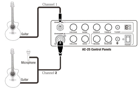 Panel y conexiones de los dos canales del amplificador NUX AC-25