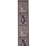 Detalle del estampado Aether Postage D'Addario 50AL09