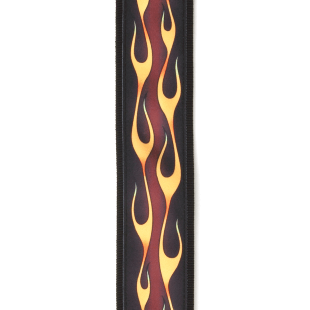 Detalle del gráfico Hot Rod Flame D'Addario 50F09