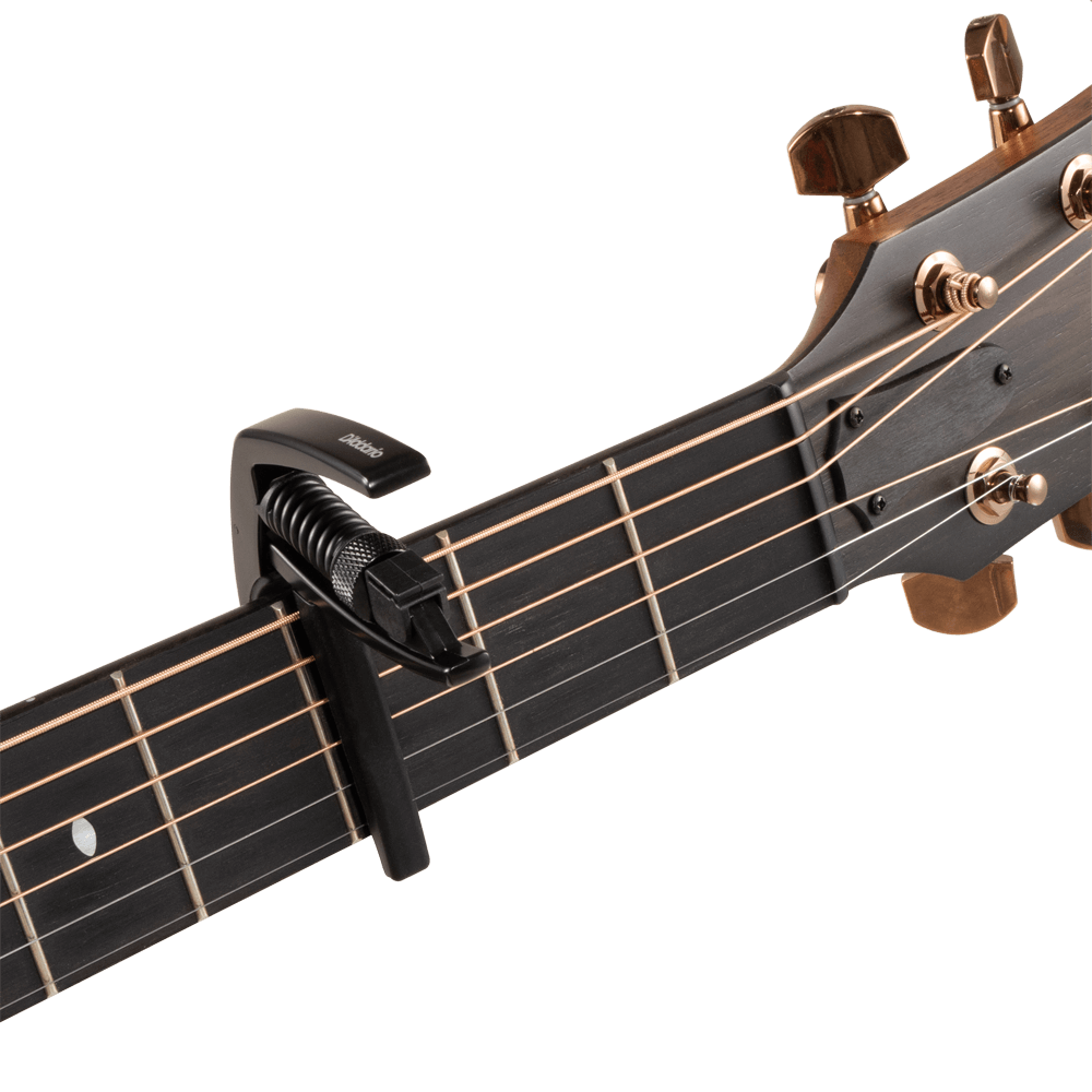 Detalle del mecanismo D'Addario PW-CP-10