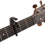 Detalle del mecanismo D'Addario PW-CP-10