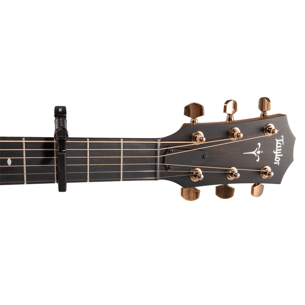 Vista de la almohadilla FlexFit D'Addario PW-CP-10