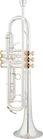 Trompeta Eastman ETR520GS completa